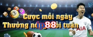 ip88
